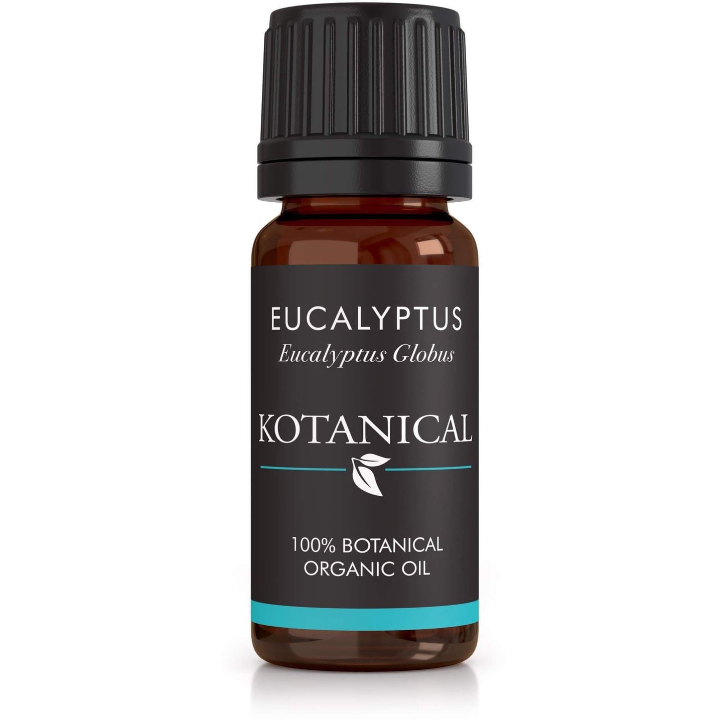 Eucalyptus Essential Oil kotanical