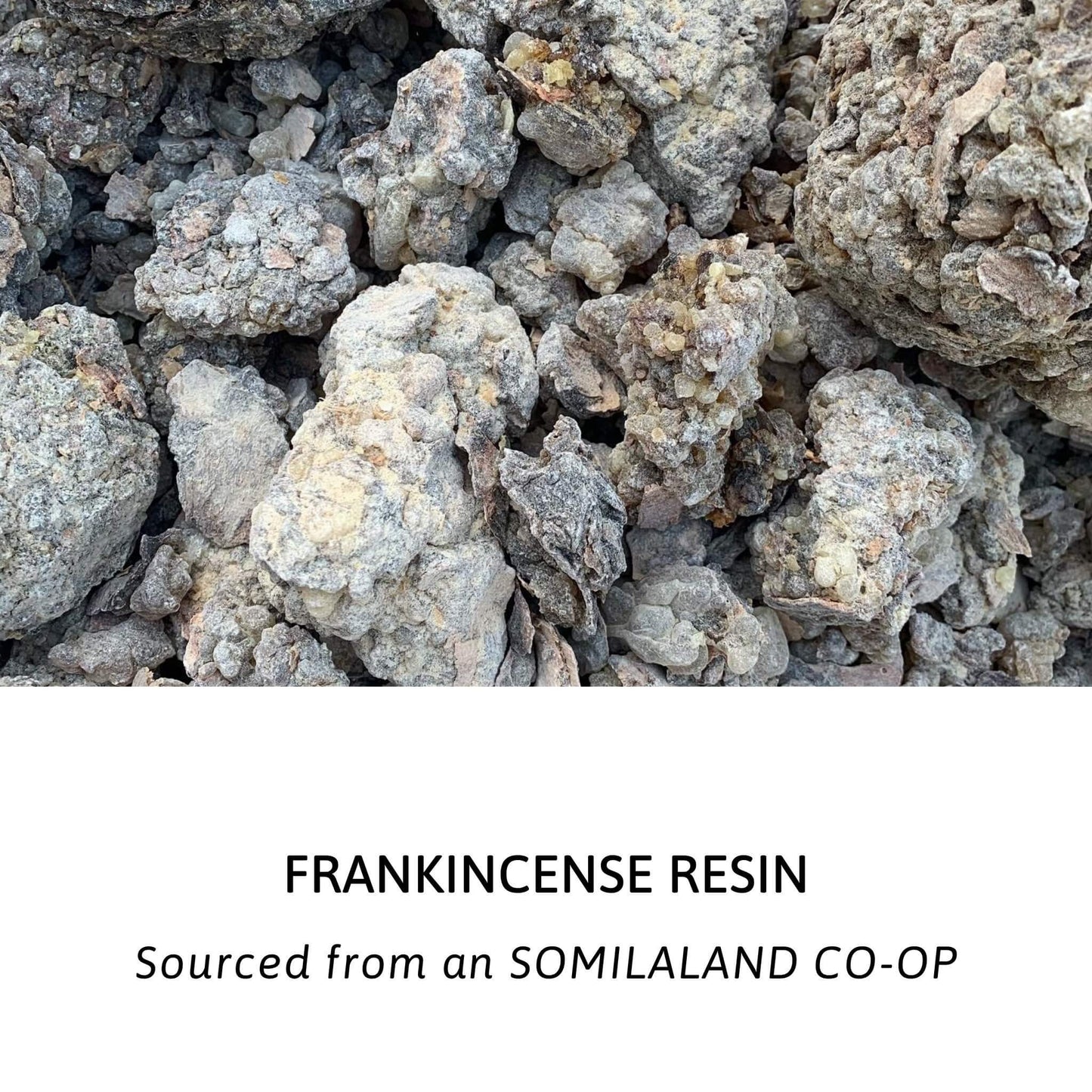 Frankincense Essential Oil kotanical