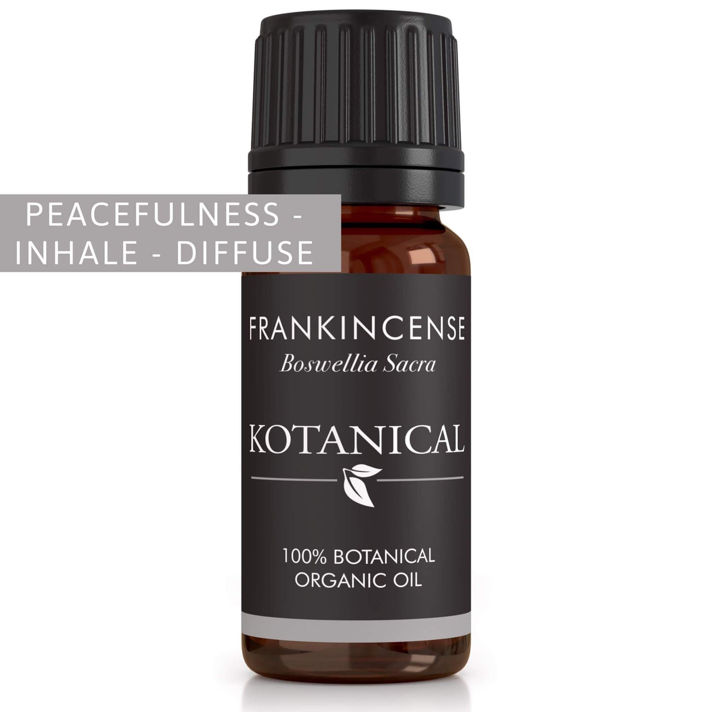 Frankincense Essential Oil kotanical