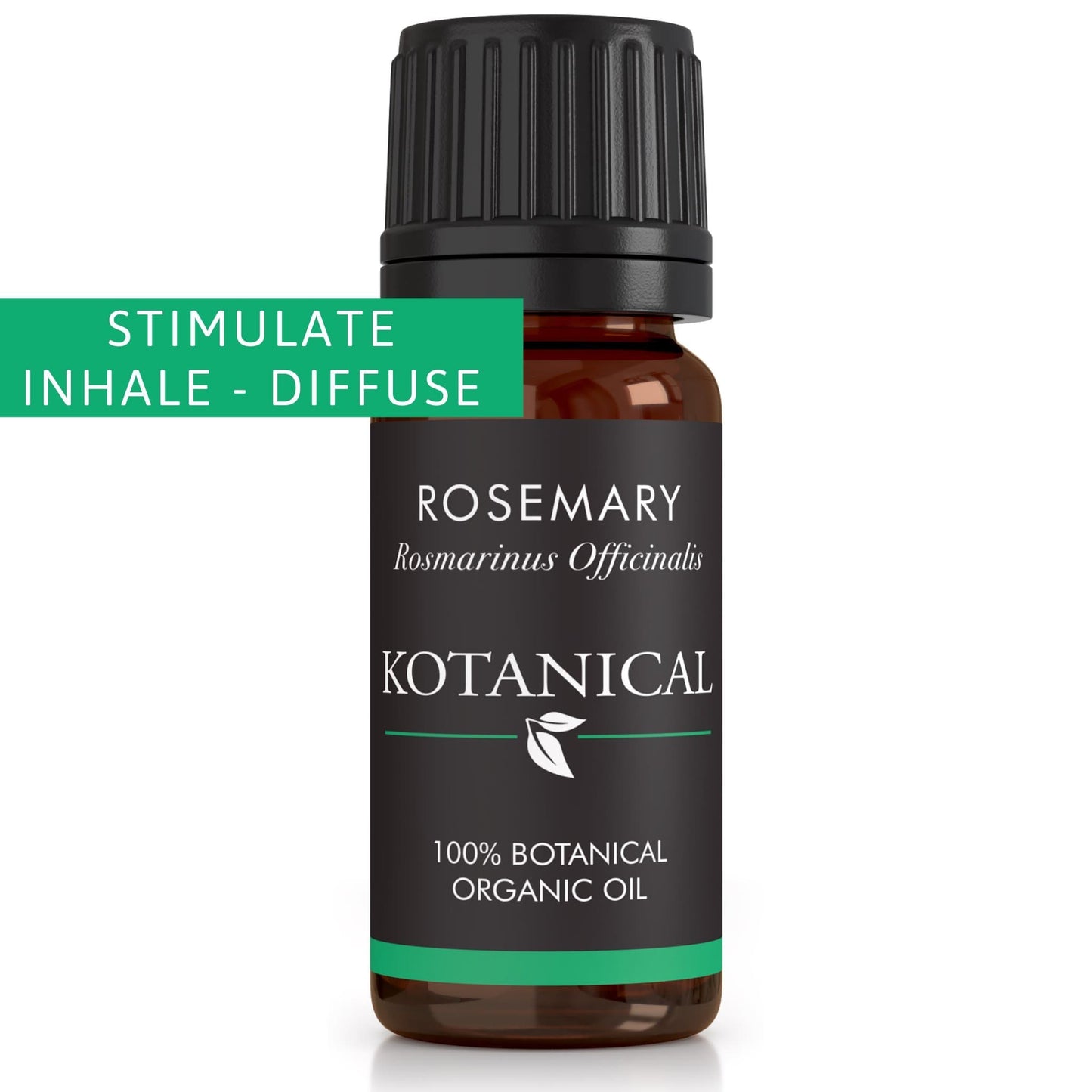 Rosemary Essential Oil kotanical