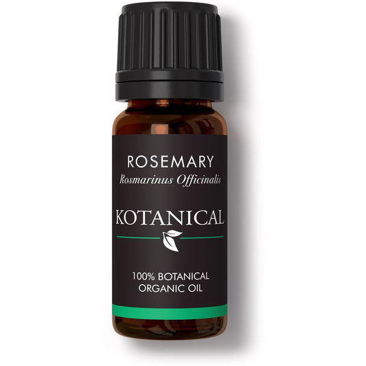 Rosemary Essential Oil kotanical