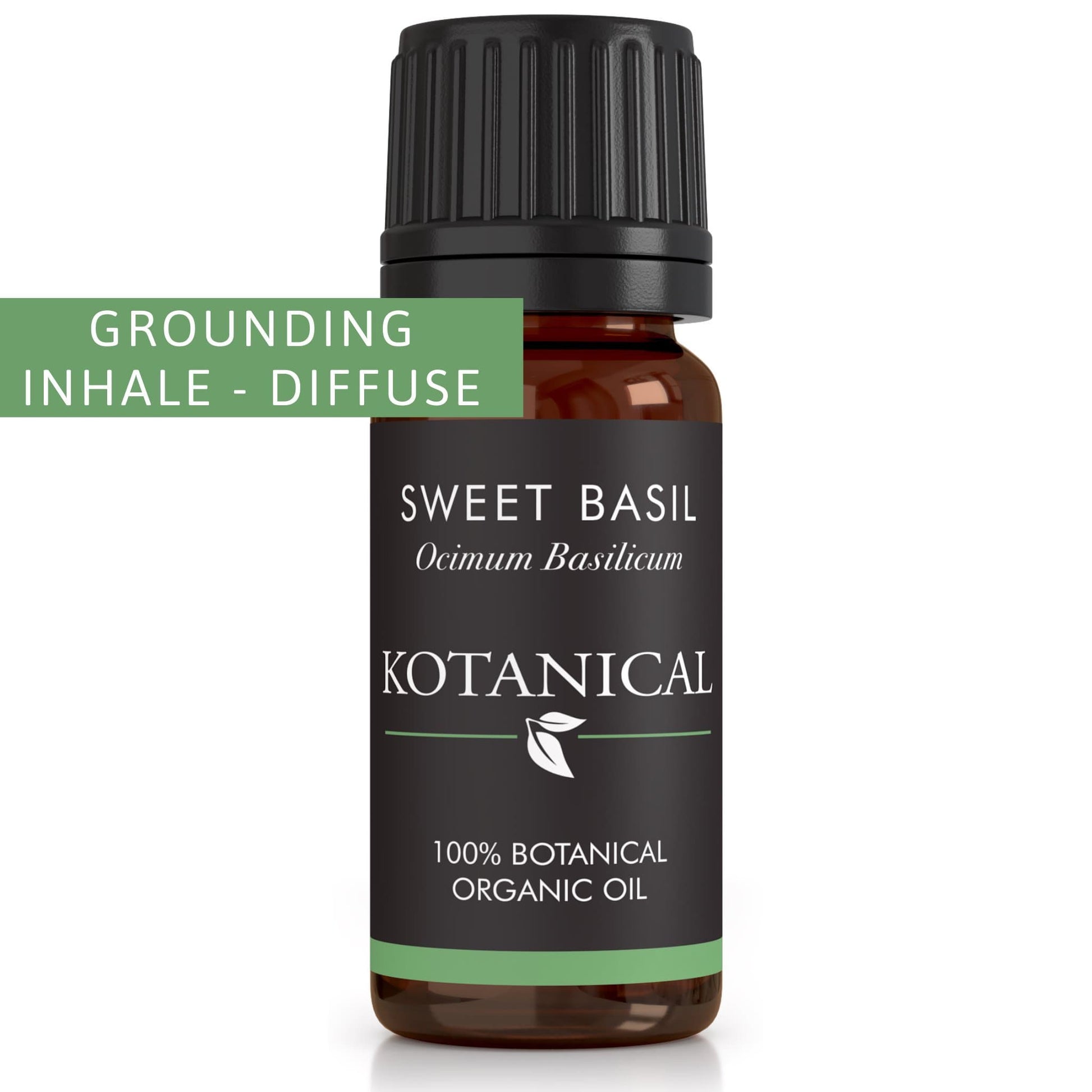 Sweet Basil Essential Oil kotanical