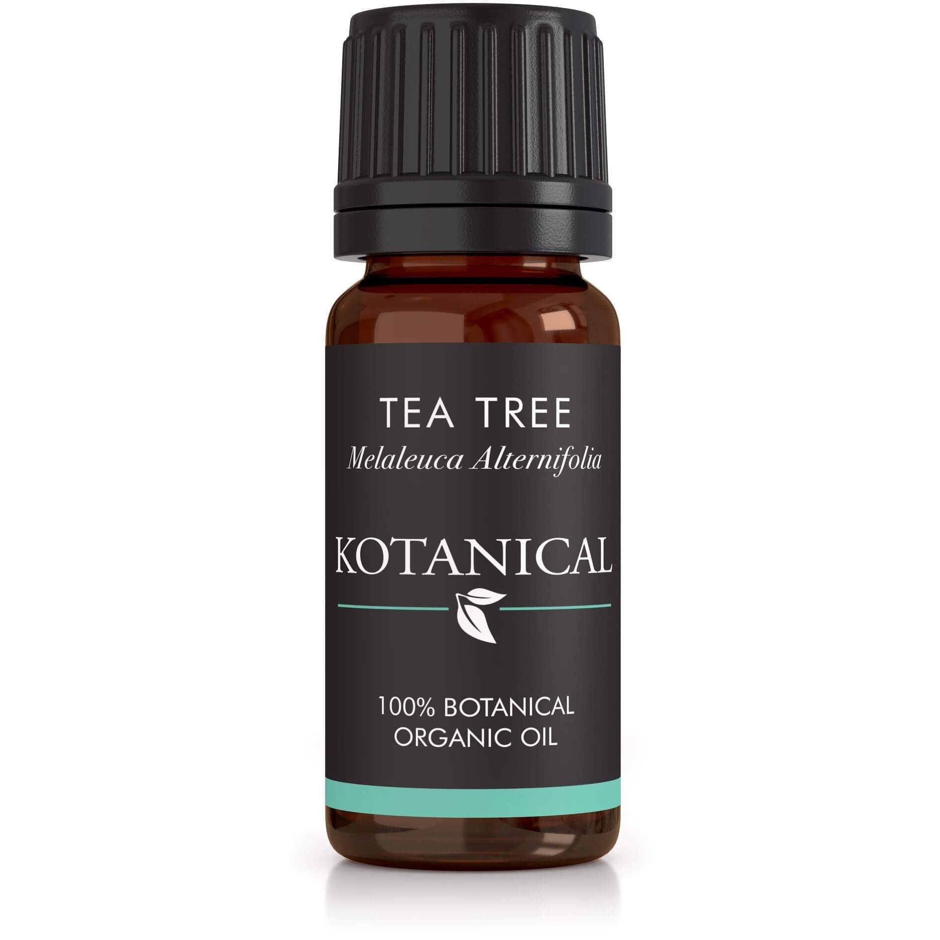 Tea Tree Essential Oil kotanical