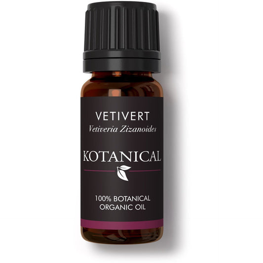 Vetivert Essential Oil kotanical