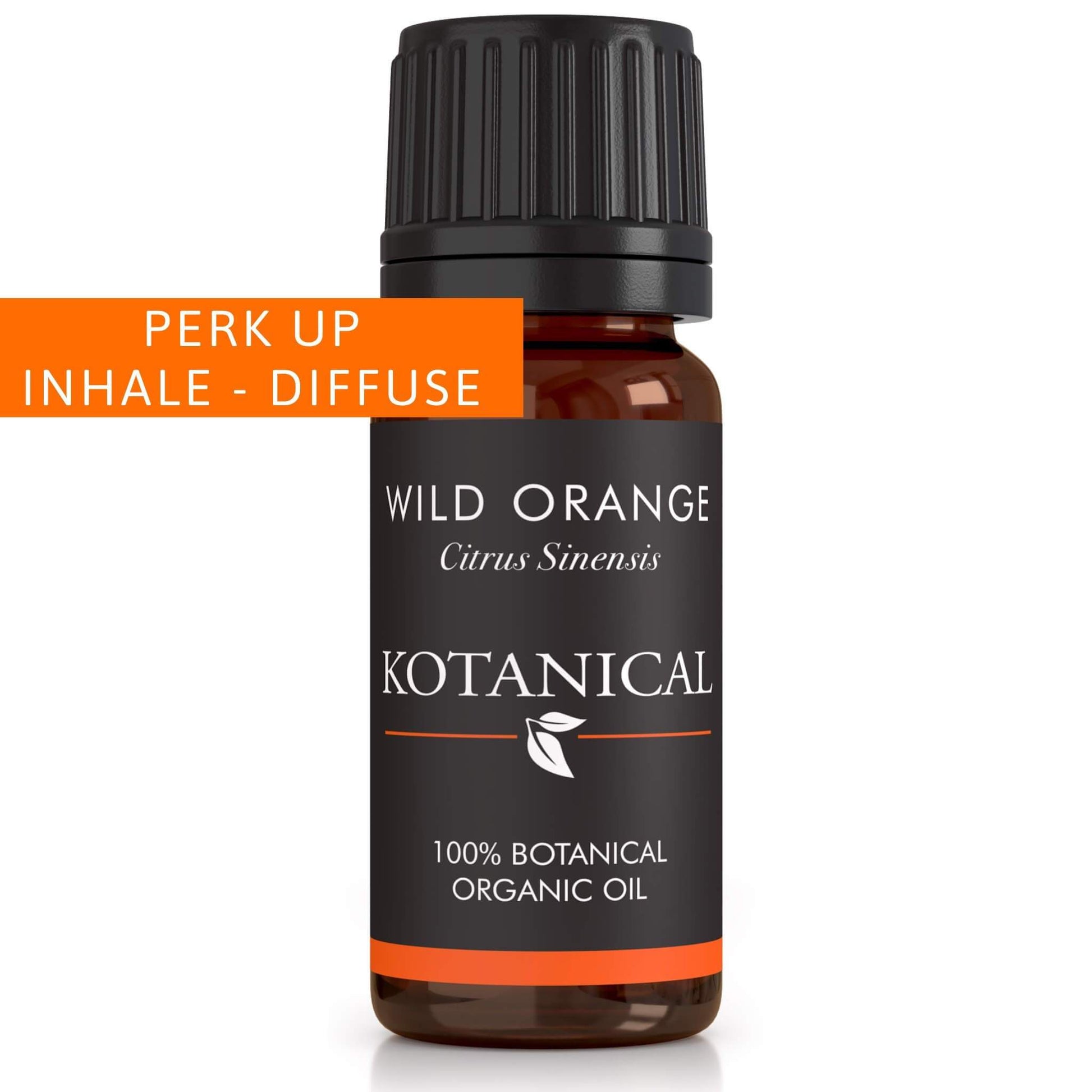 Wild Orange Essential Oil kotanical