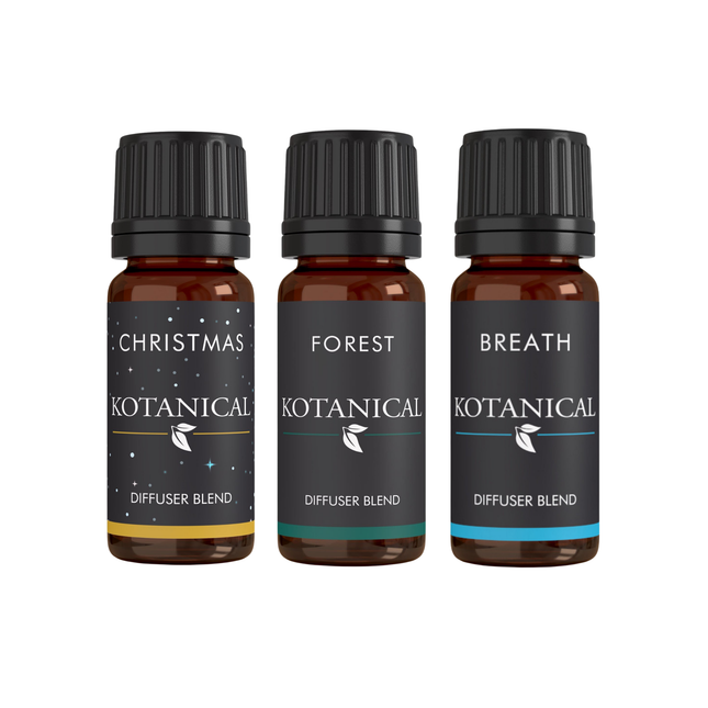 Holiday Wellness Kit
