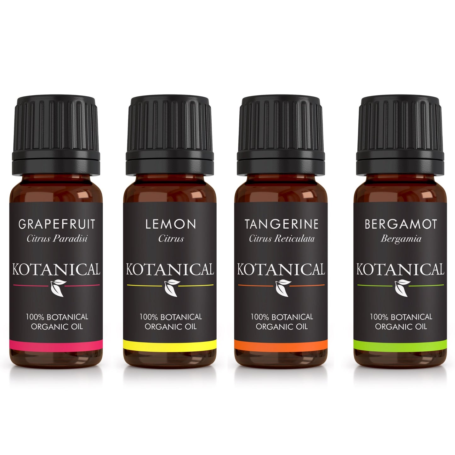 Summer Scents Bundle