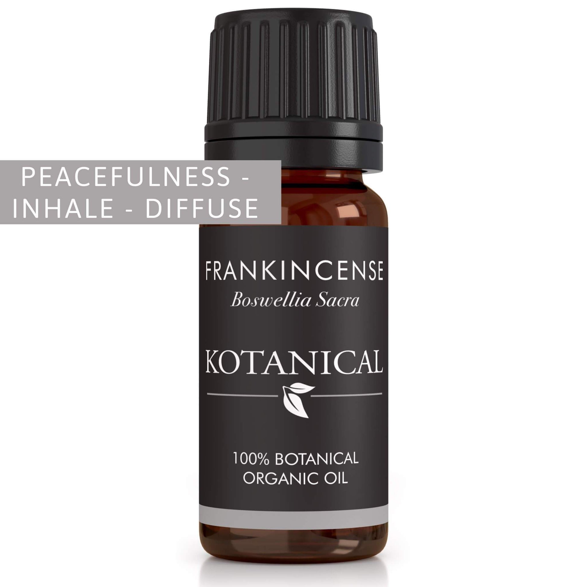 Frankincense Essential Oil kotanical 