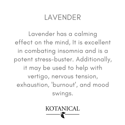 Lavender Essential Oil kotanical 