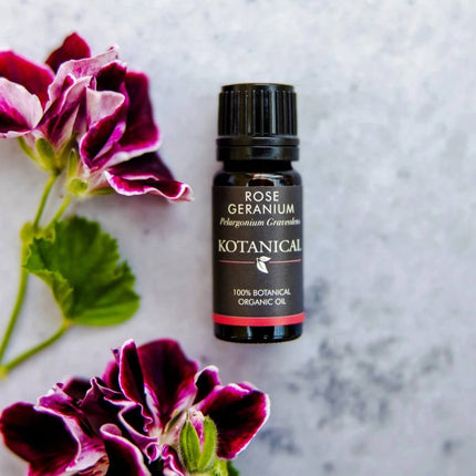 Rose Geranium Essential Oil essential oil kotanical 