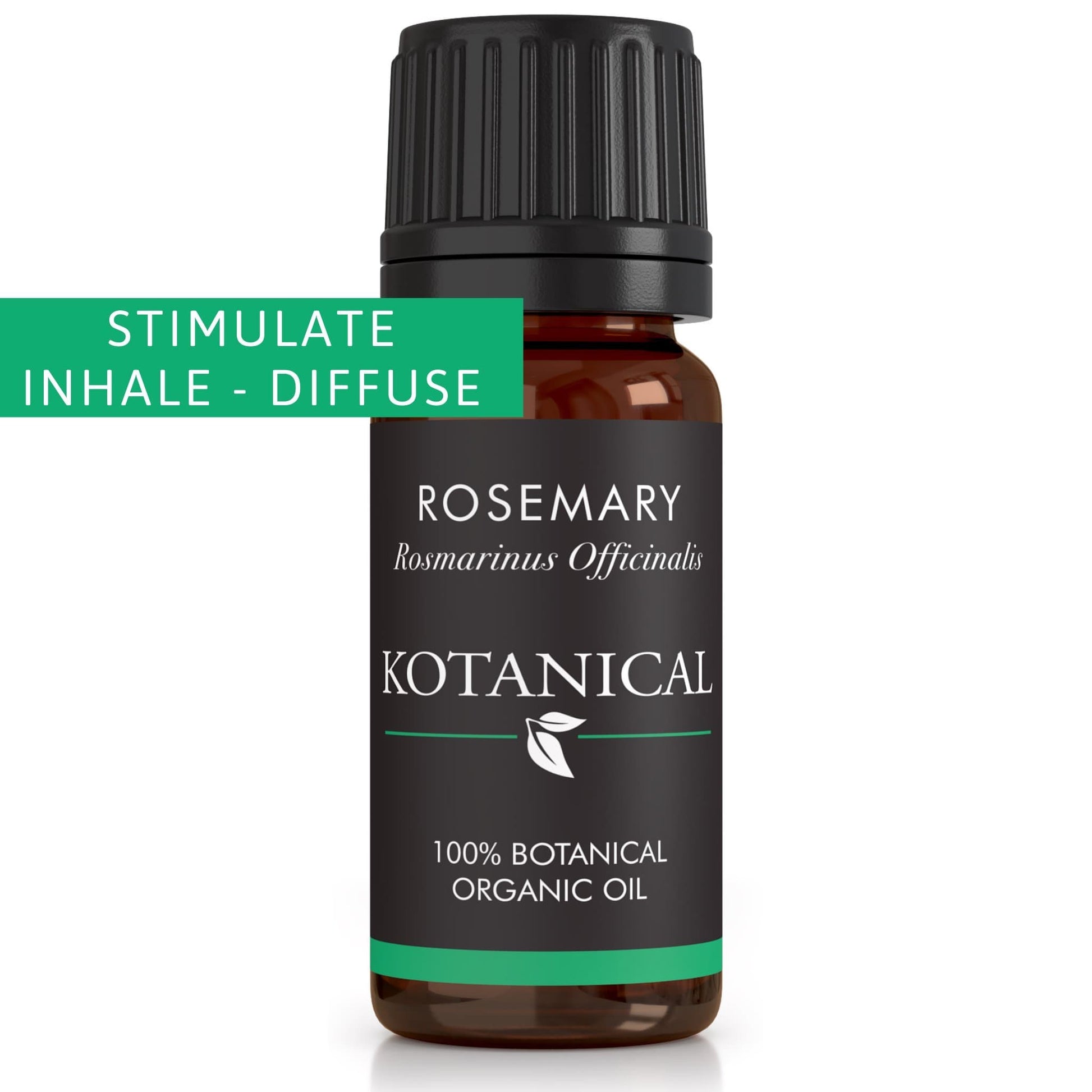 Rosemary Essential Oil kotanical 