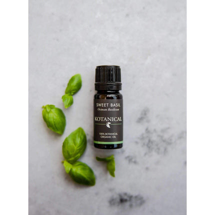 Sweet Basil Essential Oil kotanical 