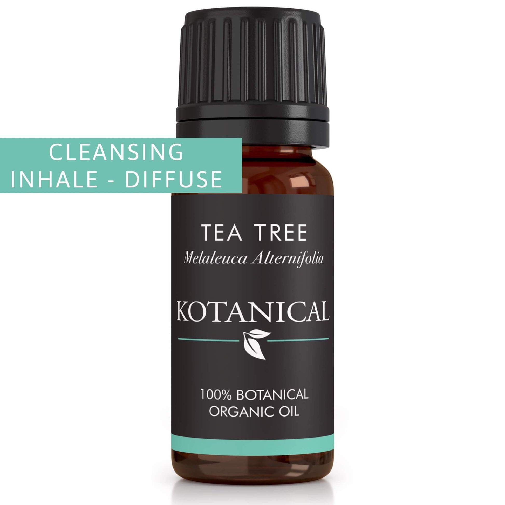 Tea Tree Essential Oil kotanical 