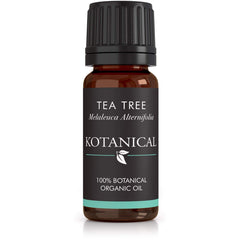 Tea Tree Essential Oil kotanical 