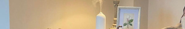 White Stone Oil Diffuser diffuser kotanical 